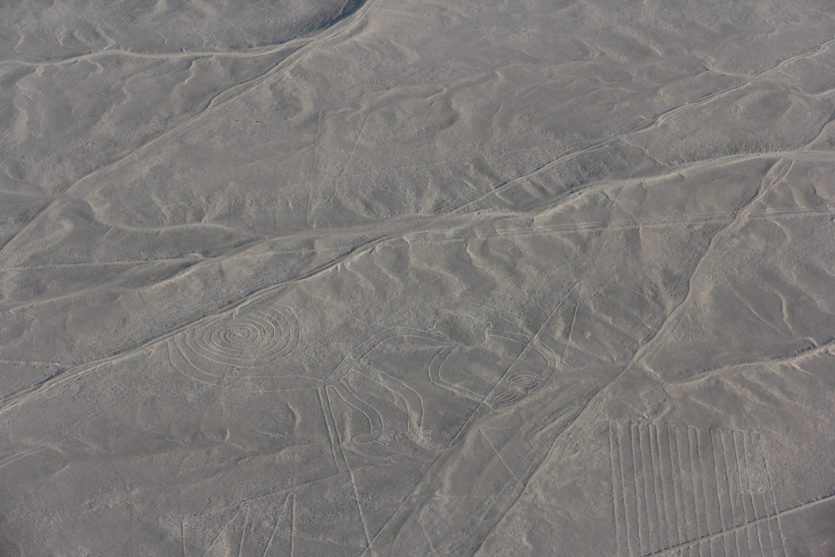 Nazca-Linien: Affe