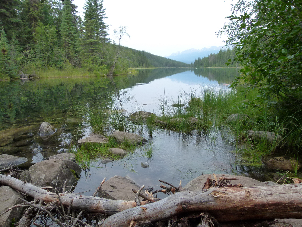 Einer der 5 Seen bei Jasper.