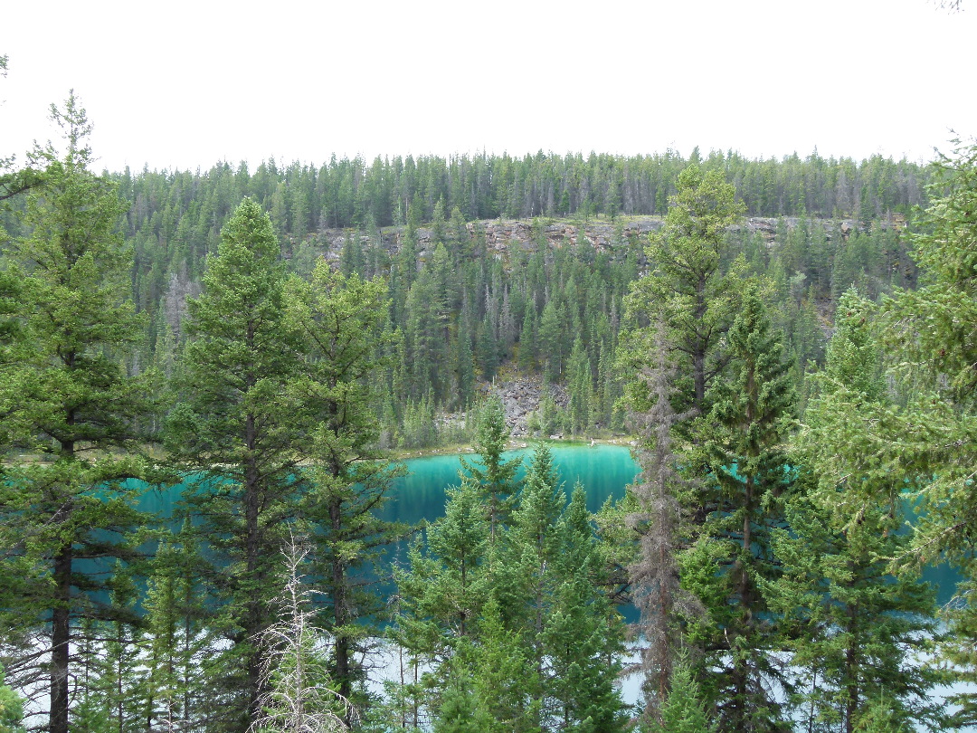 Einer der 5 Seen bei Jasper