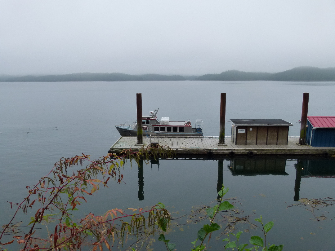 Prince Rupert im Morgennebel