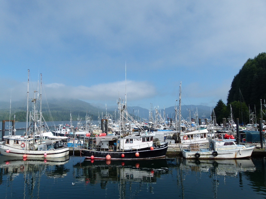 Rushbrook Harbor im Sonnenlicht