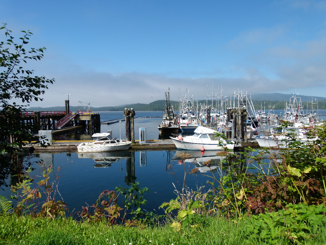 Rushbrook Harbor