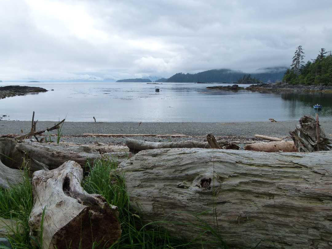 Strand von Skedans