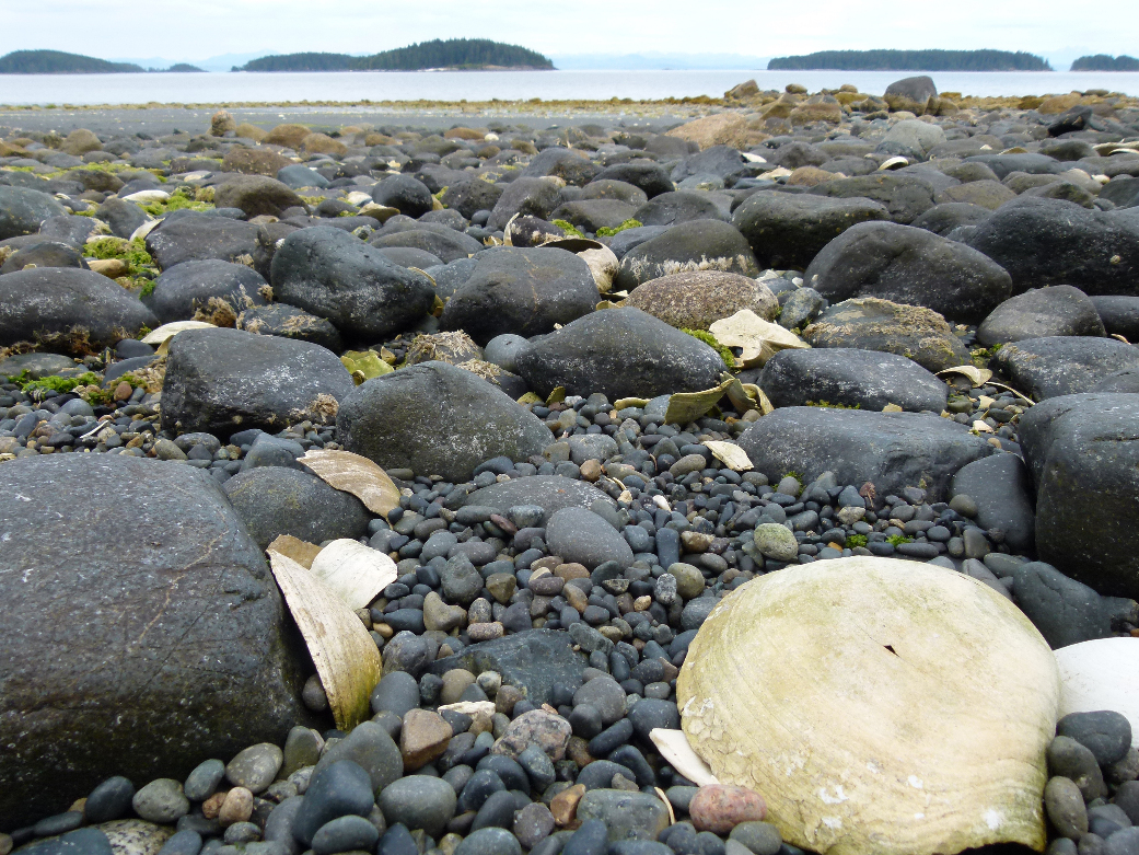 Strand in Fort Rupert