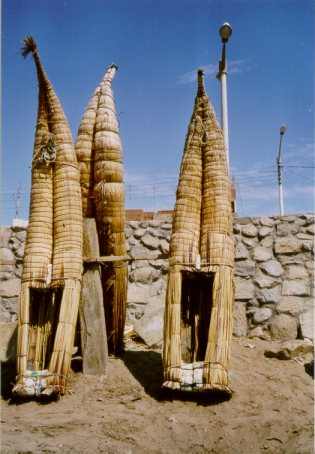 caballitos del mar