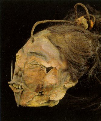 Trophenkopf