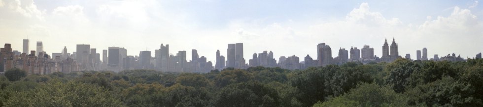 New York Skyline