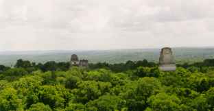 Tikal