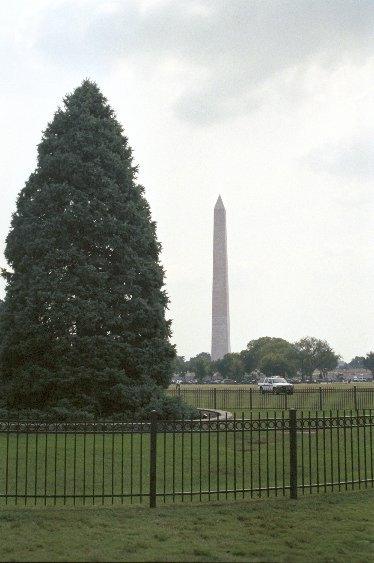 Nationaler Weihnachtsbaum