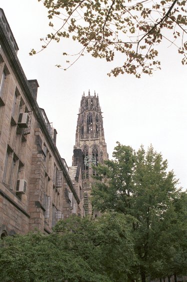 Altehrwrdiger Campus der Yale University von Antje Baumann